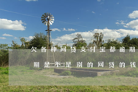 欠各种网贷支付宝都逾期了怎么办(支付宝逾期是不是别的网贷的钱也借不出来了)