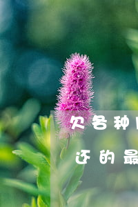 欠各种网贷没钱还(那些欠了网贷十几万没钱还的最后怎么样了)