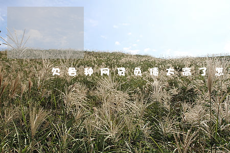 欠各种网贷负债太高了怎么办