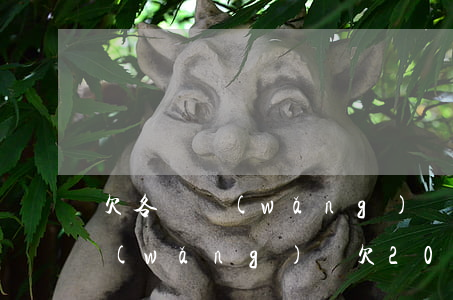 欠各種網(wǎng)貸20萬還不上了(網(wǎng)貸欠20萬怎么辦)