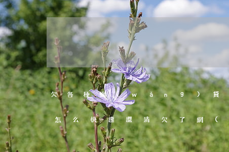 欠各種網(wǎng)貸9萬(wàn)元怎么快速還清(欠了網(wǎng)貸8萬(wàn)多怎么辦?)