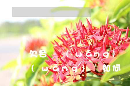 欠各種網(wǎng)貸如何處理(欠各種網(wǎng)貸如何處理)