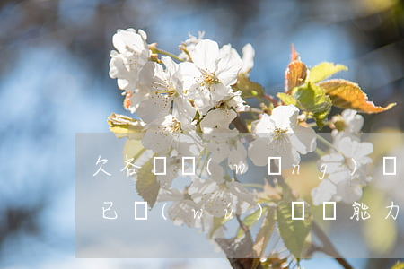 欠各種網(wǎng)貸幾十萬(wàn)已無(wú)償還能力-有沒(méi)有欠網(wǎng)貸幾十萬(wàn)的