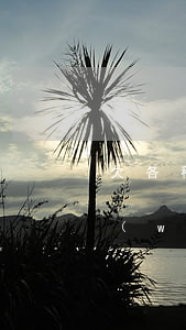 欠各種網(wǎng)貸慢慢還(欠了很多網(wǎng)貸 不知道怎么還了)