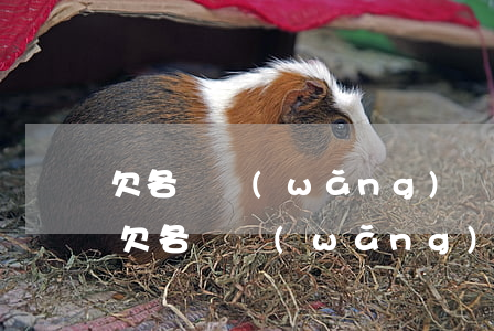 欠各種網(wǎng)貸的人都是怎么樣的(欠各種網(wǎng)貸的人都是怎么樣的)
