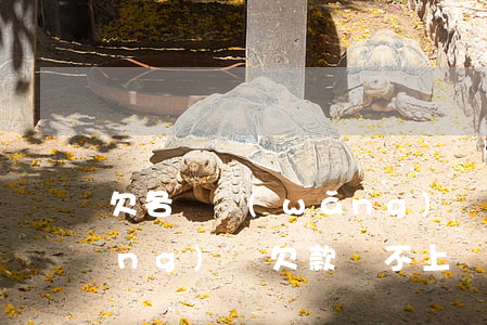 欠各種網(wǎng)貸還不上了(網(wǎng)貸欠款還不上)