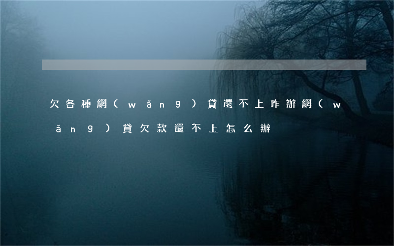 欠各種網(wǎng)貸還不上咋辦(網(wǎng)貸欠款還不上怎么辦)