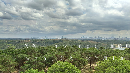 欠各類網(wǎng)貸和信用卡12萬(wàn)怎么還(欠信用卡和網(wǎng)貸三十多萬(wàn)還不上怎么辦)