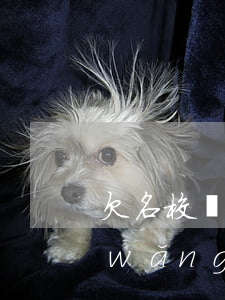 欠名校貸的錢律師給發(fā)函嗎(欠網(wǎng)貸寄了個(gè)律師函)
