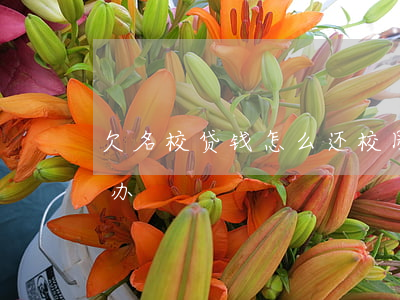 欠名校贷钱怎么还(校园贷欠了钱还不起怎么办)