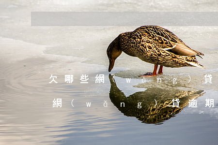 欠哪些網(wǎng)貸的錢會影響坐高鐵(網(wǎng)貸逾期會不會影響坐高鐵)
