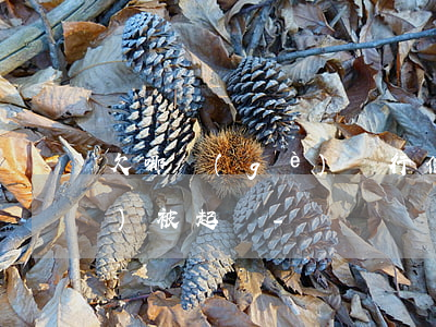 欠哪個(gè)銀行信用卡的錢會(huì)被起訴-
