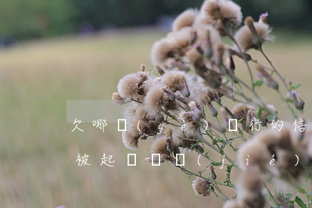 欠哪個(gè)銀行的信用卡會(huì)被起訴凍結(jié)-欠哪個(gè)銀行的信用卡會(huì)被起訴凍結(jié)賬戶