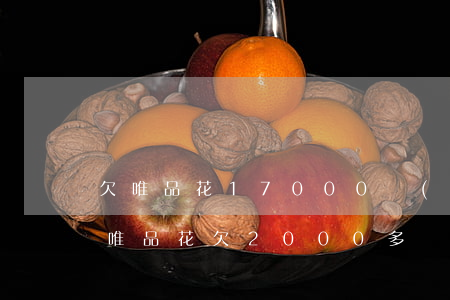 欠唯品花17000會(huì)被起訴嗎(唯品花欠2000多,會(huì)起訴嗎)