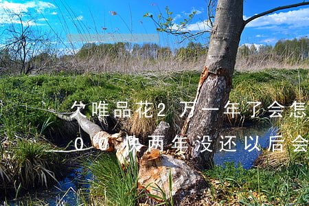 欠唯品花2万一年了会怎么样(欠唯品花2000快两年没还以后会怎么样?)