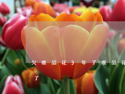 欠唯品花3年了(唯品花沒還的最后都怎么樣了)