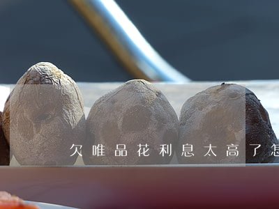欠唯品花利息太高了怎么辦