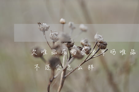 欠唯品花的会坐牢吗(唯品花欠了500一直不还会怎么样)
