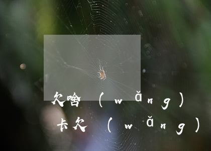 欠啥網(wǎng)貸一般凍結(jié)卡(欠網(wǎng)貸銀行卡會(huì)凍結(jié)嗎)