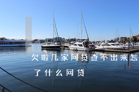 欠啦几家网贷查不出来怎么办(哪里可以查欠了什么网贷)