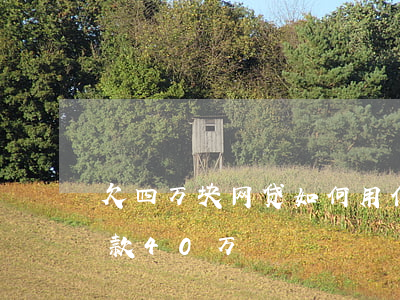 欠四万块网贷如何用信用卡(网贷加信用卡欠款40万)