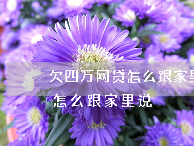欠四万网贷怎么跟家里人说(欠了四十万网贷怎么跟家里说)