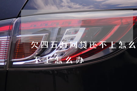 欠四五万网贷还不上怎么办(欠四五万网贷还不上怎么办)