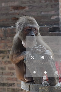 欠四五千網(wǎng)貸不還會怎樣(欠四五千網(wǎng)貸不還會怎樣)