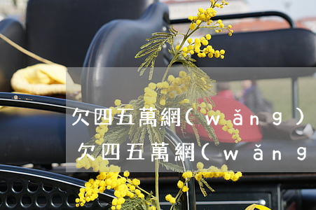 欠四五萬網(wǎng)貸還不上想去坐牢(欠四五萬網(wǎng)貸還不上想去坐牢)
