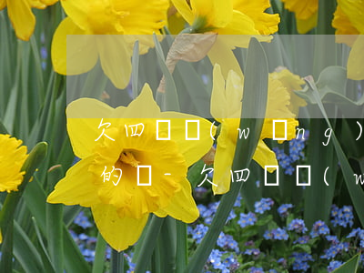 欠四個網(wǎng)貸十四萬該怎么操作的還-欠四個網(wǎng)貸十四萬該怎么操作的還款