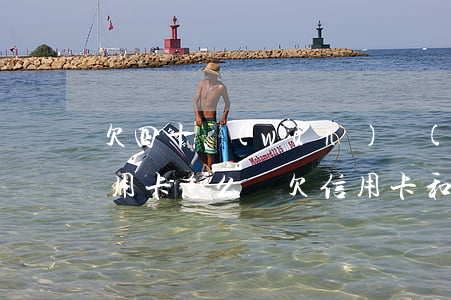 欠四十萬(wàn)網(wǎng)貸加信用卡怎么辦(欠信用卡和網(wǎng)貸二十萬(wàn)怎么辦)