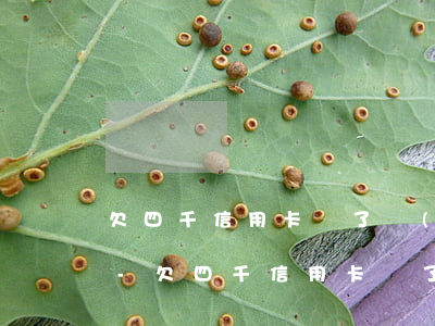 欠四千信用卡還了會(huì)成黑名單嗎-欠四千信用卡還了會(huì)成黑名單嗎知乎