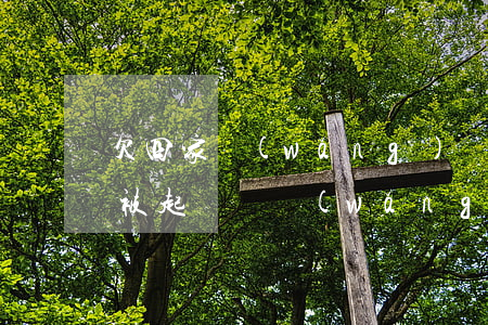 欠四家網(wǎng)貸然后會(huì)被起訴嗎(網(wǎng)貸欠款3萬多會(huì)被起訴嗎)