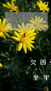 欠四張信用卡不到五萬(欠信用卡不到5萬會坐牢嗎?)