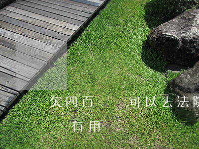 欠四百塊錢可以去法院起訴嗎(欠四千塊錢起訴有用嗎)