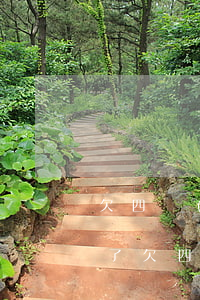 欠四萬(wàn)網(wǎng)貸還不上了(欠四萬(wàn)網(wǎng)貸還不上了)