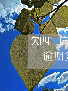 欠四萬信用卡逾期會被判刑嗎（信用卡欠款4萬逾期多久會被起訴）