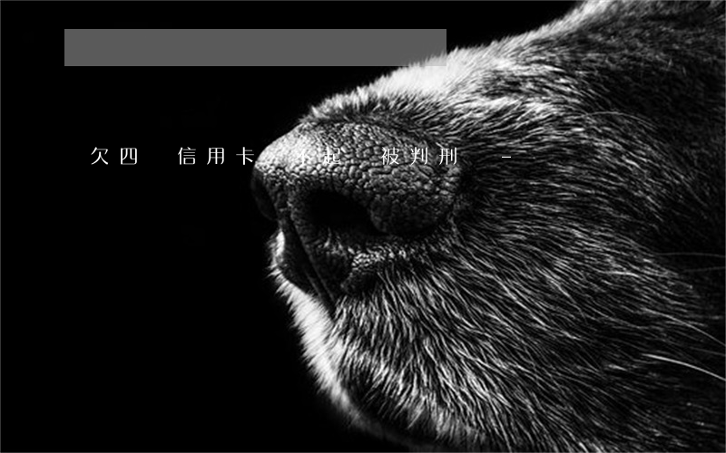 欠四萬信用卡還不起會被判刑嗎-