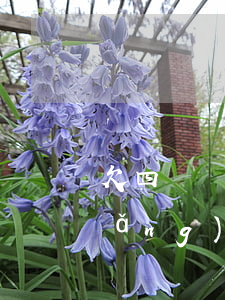 欠四萬網(wǎng)貸多久能翻身(網(wǎng)貸欠幾十萬怎么翻身)