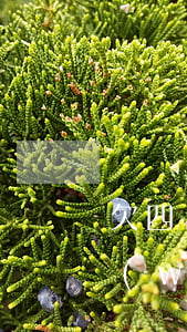 欠四萬網(wǎng)貸怎么盡快還清(欠網(wǎng)貸4萬如何自救)