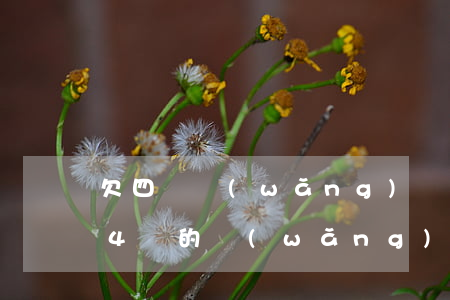 欠四萬網(wǎng)貸還有車貸怎么辦(有4萬的網(wǎng)貸影響車貸嗎)
