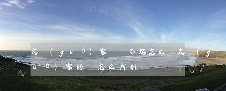 欠國(guó)家錢還不起怎么辦(欠國(guó)家的錢怎么判刑)