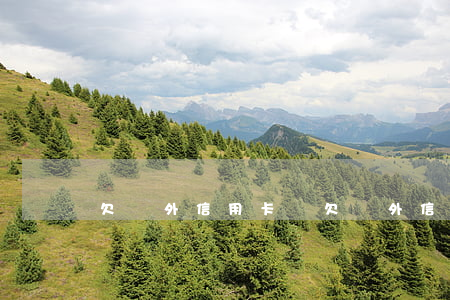 欠國外信用卡嗎(欠國外信用卡嗎會坐牢嗎)