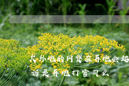 欠外地的网贷在异地会起诉我么(网贷逾期起诉是异地打官司么)
