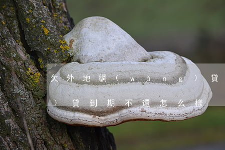 欠外地網(wǎng)貸(外省網(wǎng)貸到期不還怎么樣)