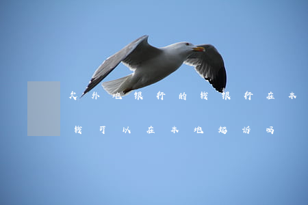 欠外地银行的钱银行在本地起诉吗(外地人欠钱可以在本地起诉吗)