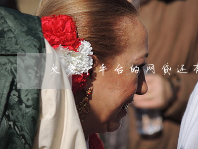 欠多个平台的网贷(还有多少网贷平台)