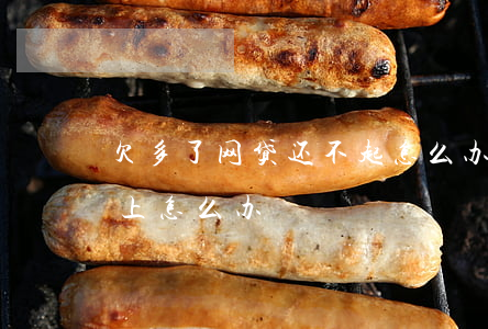 欠多了网贷还不起怎么办(欠的网贷太多还不上怎么办)