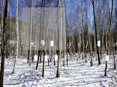 欠多個(gè)網(wǎng)貸逾期怎么辦(幾個(gè)網(wǎng)貸逾期了怎么辦)