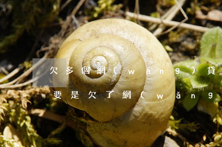 欠多個網(wǎng)貸沒有錢還會怎么樣(要是欠了網(wǎng)貸沒有還會怎么樣)